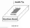 Fig. 05 - UMBILICAL CORD AMNIOTIC MEMBRANE PRODUCTS