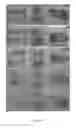 Fig. 07 - UMBILICAL CORD AMNIOTIC MEMBRANE PRODUCTS