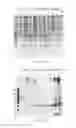 Fig. 19 - UMBILICAL CORD AMNIOTIC MEMBRANE PRODUCTS