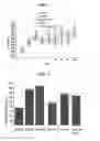 Fig. 02 - DIETARY SUPPLEMENT, FEED AND PHARMACEUTICAL COMPOSITION CONTAINING CHIA SEED AND MACA, AND PREPARATION METHOD THEREOF