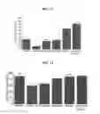 Fig. 07 - DIETARY SUPPLEMENT, FEED AND PHARMACEUTICAL COMPOSITION CONTAINING CHIA SEED AND MACA, AND PREPARATION METHOD THEREOF