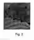 Fig. 03 - SYSTEMS CONTAINING MAGNETIC NANOPARTICLES AND POLYMERS, SUCH AS NANOCOMPOSITES AND FERROFLUIDS, AND APPLICATIONS THEREOF