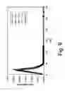 Fig. 11 - SYSTEMS CONTAINING MAGNETIC NANOPARTICLES AND POLYMERS, SUCH AS NANOCOMPOSITES AND FERROFLUIDS, AND APPLICATIONS THEREOF