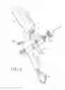Fig. 03 - SPRAY DEVICE FOR COATING AND USE THEREOF
