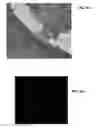 Fig. 41 - Ion sources, systems and methods