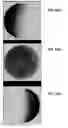 Fig. 50 - Ion sources, systems and methods