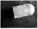 Fig. 01 - Biphasic Collagen Membrane or Capsule for Guided Tissue Regeneration