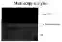 Fig. 01 - Bi-Layer Rotomoulding Applications