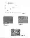 Fig. 05 - Articles including surface microfeatures and methods for forming same