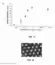 Fig. 08 - Articles including surface microfeatures and methods for forming same