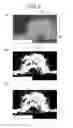 Fig. 07 - Nonwoven fabric and method for manufacturing same