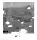 Fig. 04 - Filled polyimide films and coverlays comprising such films