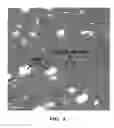 Fig. 06 - Filled polyimide films and coverlays comprising such films