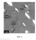 Fig. 07 - Filled polyimide films and coverlays comprising such films