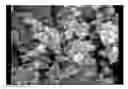 Fig. 01 - Biochip array with a Three-Dimensional structure