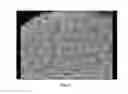Fig. 06 - Biochip array with a Three-Dimensional structure