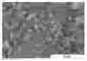 Fig. 01 - MONODISPERSE SUBMICRON POLYMER PARTICLES