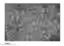 Fig. 07 - MONODISPERSE SUBMICRON POLYMER PARTICLES