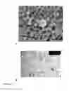 Fig. 16 - MONODISPERSE SUBMICRON POLYMER PARTICLES