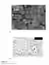 Fig. 20 - MONODISPERSE SUBMICRON POLYMER PARTICLES
