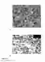 Fig. 22 - MONODISPERSE SUBMICRON POLYMER PARTICLES