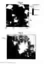 Fig. 04 - Biological Functionalisation Of A Sol Gel Coating For the Mitigation Of Biofouling Microbial Induced Corrosion