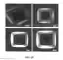 Fig. 04 - 2-DIMENSIONAL LINE-DEFECTS CONTROLLED SILICON INGOT, WAFER AND EPITAXIAL WAFER, AND MANUFACTURING PROCESS AND APPARATUS THEREFOR
