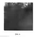 Fig. 10 - 2-DIMENSIONAL LINE-DEFECTS CONTROLLED SILICON INGOT, WAFER AND EPITAXIAL WAFER, AND MANUFACTURING PROCESS AND APPARATUS THEREFOR