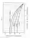 Fig. 17 - 2-DIMENSIONAL LINE-DEFECTS CONTROLLED SILICON INGOT, WAFER AND EPITAXIAL WAFER, AND MANUFACTURING PROCESS AND APPARATUS THEREFOR