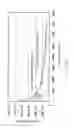 Fig. 35 - MULTILAYER TRANSPARENT LIGHT-RECEIVING DEVICE AND ELECTRONIC DEVICE