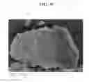 Fig. 08 - Rechargeable lithium battery including negative active material