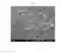 Fig. 06 - Electrode of secondary cell including porous insulating layer, and manufacturing method thereof
