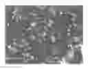 Fig. 01 - Beta alumina solid electrolyte and method of preparing the same