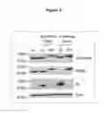 Fig. 08 - Quantitative Aggregation Sensors