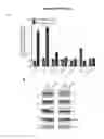 Fig. 23 - Quantitative Aggregation Sensors