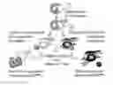 Fig. 01 - ANTIGEN-PRESENTING CELL POPULATIONS AND THEIR USE AS REAGENTS FOR ENHANCING OR REDUCING IMMUNE TOLERANCE