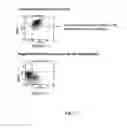Fig. 08 - ANTIGEN-PRESENTING CELL POPULATIONS AND THEIR USE AS REAGENTS FOR ENHANCING OR REDUCING IMMUNE TOLERANCE