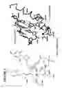 Fig. 02 - MASSIVE PARALLEL METHOD FOR DECODING DNA AND RNA