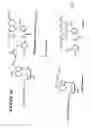 Fig. 13 - MASSIVE PARALLEL METHOD FOR DECODING DNA AND RNA