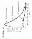 Fig. 15 - MASSIVE PARALLEL METHOD FOR DECODING DNA AND RNA