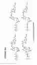 Fig. 19 - MASSIVE PARALLEL METHOD FOR DECODING DNA AND RNA