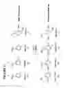 Fig. 22 - MASSIVE PARALLEL METHOD FOR DECODING DNA AND RNA