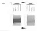Fig. 12 - Modified siNA