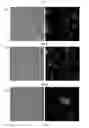 Fig. 11 - Nucleic acid aptamer capable of binding specifically to pancreatic cancer cells or tissues and use thereof