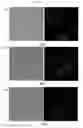 Fig. 14 - Nucleic acid aptamer capable of binding specifically to pancreatic cancer cells or tissues and use thereof
