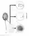 Fig. 02 - Molecular indicia of cellular constituents and resolving the same by super-resolution technologies in single cells