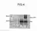 Fig. 05 - GFP FUSION PROTEINS AND THEIR USE