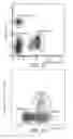 Fig. 08 - MULTI-FREQUENCY IMPEDANCE METHOD AND APPARATUS FOR DISCRIMINATING AND COUNTING PARTICLES EXPRESSING A SPECIFIC MARKER