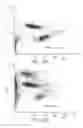 Fig. 16 - MULTI-FREQUENCY IMPEDANCE METHOD AND APPARATUS FOR DISCRIMINATING AND COUNTING PARTICLES EXPRESSING A SPECIFIC MARKER