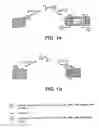 Fig. 02 - Selective delivery of molecules into cells or marking of cells in diseased tissue regions using environmentally sensitive transmembrane peptide